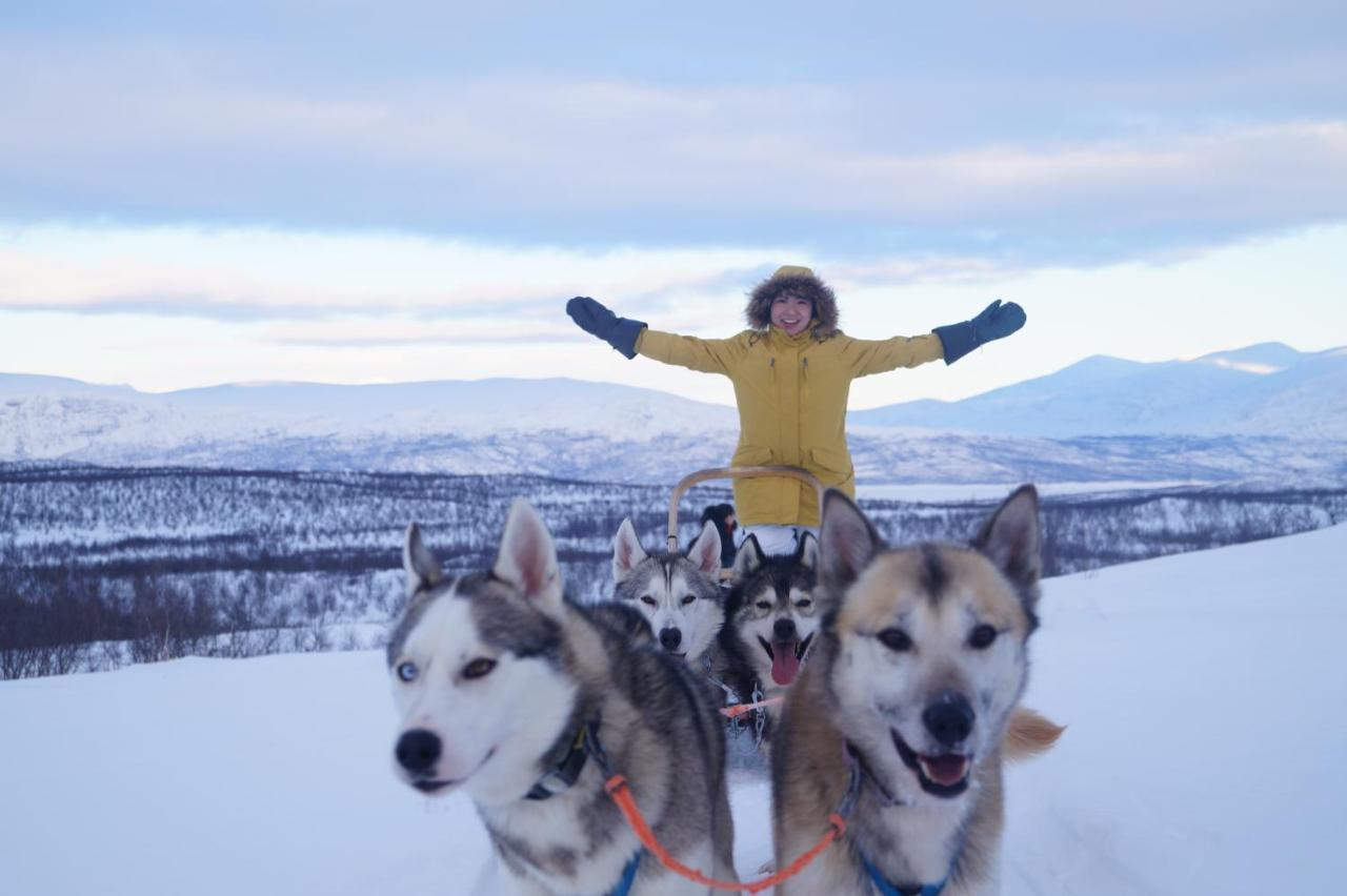 Abisko Net Hostel & Huskies المظهر الخارجي الصورة